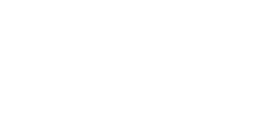 Your Place Logo white